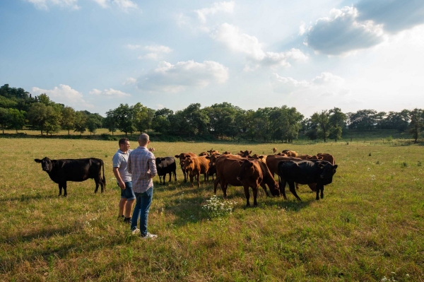 I pascoli del Drugolo
