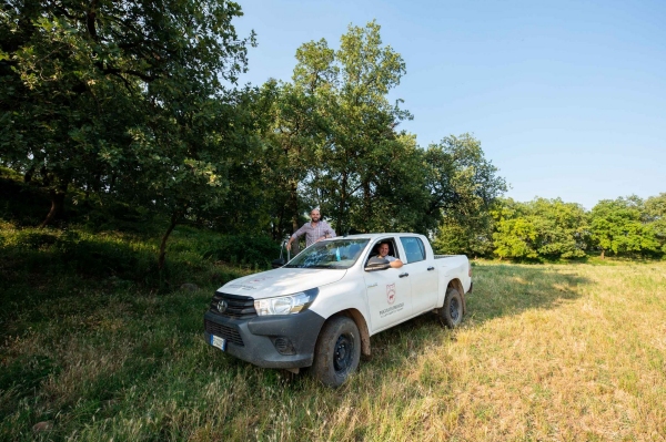 I pascoli del Drugolo